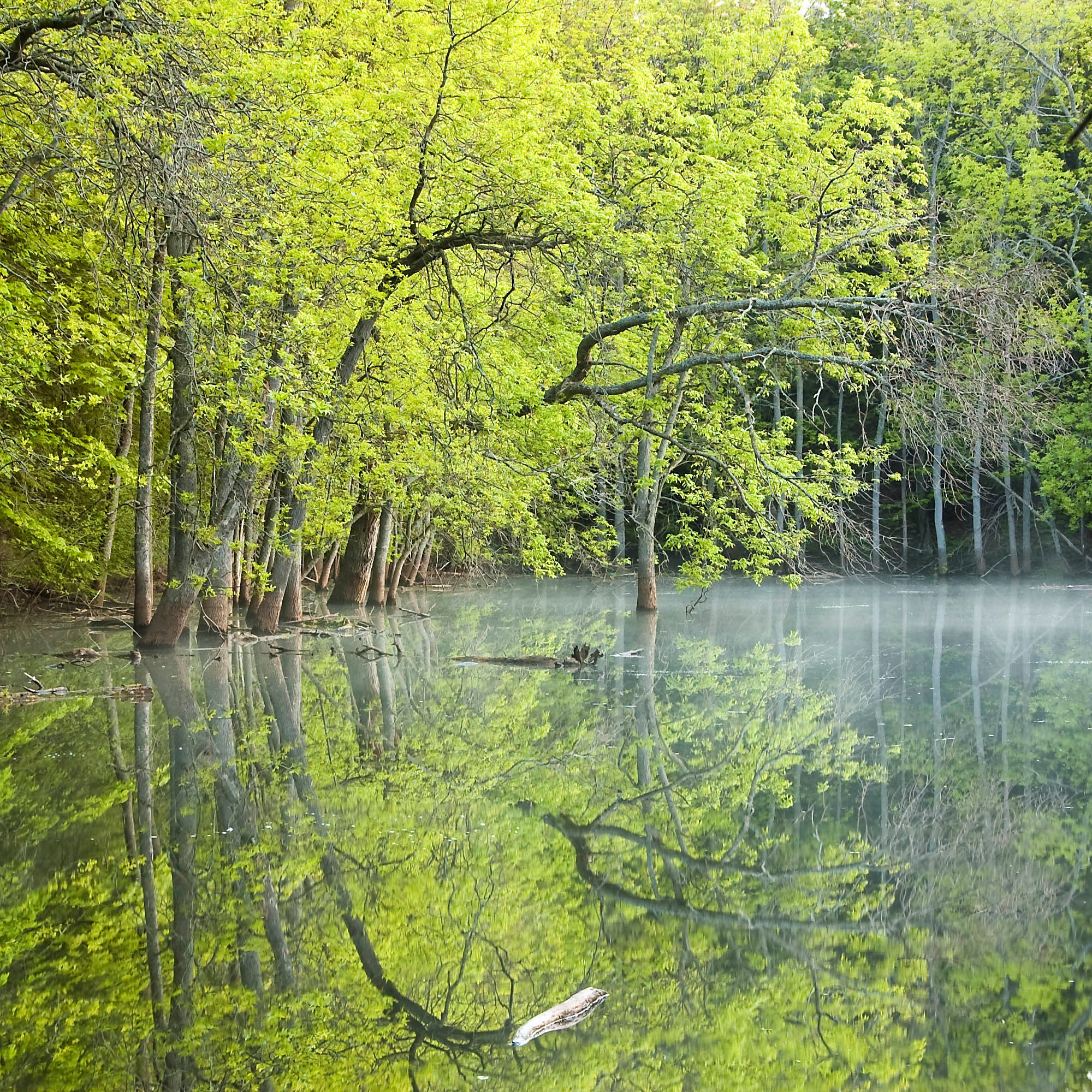 Région de la baie Georgienne en Ontario Photo de la région de la baie Georgienne en Ontario